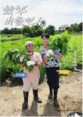 山海故人推荐图